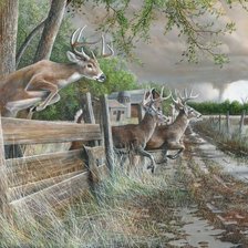 Cross stitch pattern: #2559658