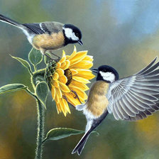 Cross stitch pattern: #2559662