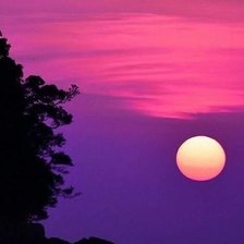 Cross stitch pattern: #2559911