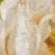 Preview of cross stitch pattern: #2560004