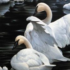 Cross stitch pattern: #2560487