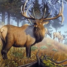 Cross stitch pattern: #2560493