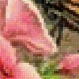 Preview of cross stitch pattern: #2560502