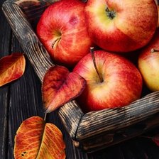 Cross stitch pattern: #2560647