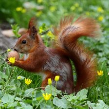 Cross stitch pattern: #2560690