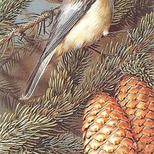 Cross stitch pattern: #2560746