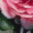 Preview of cross stitch pattern: #2561104