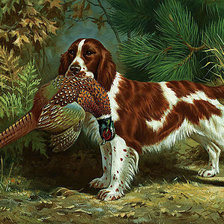 Cross stitch pattern: #2561637