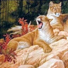 Cross stitch pattern: #2562065