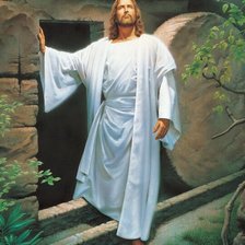 Cross stitch pattern: #2562092