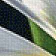 Preview of cross stitch pattern: #2563108