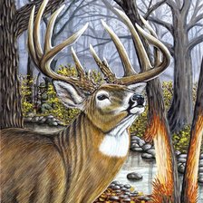 Cross stitch pattern: #2563392