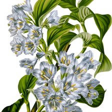 Cross stitch pattern: #2563618