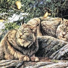 Cross stitch pattern: #2564236