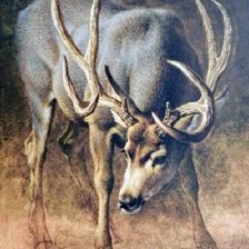 Cross stitch pattern: #2564448