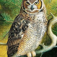 Cross stitch pattern: #2564526