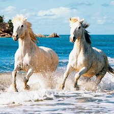 Cross stitch pattern: #2565241