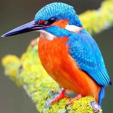 Cross stitch pattern: #2566382