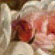 Preview of cross stitch pattern: #2566614