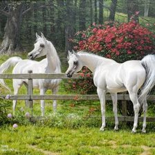 Cross stitch pattern: #2568095