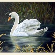 Cross stitch pattern: #2568104