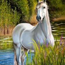 Cross stitch pattern: #2568114