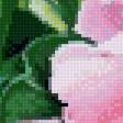 Preview of cross stitch pattern: #2568263