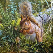 Cross stitch pattern: #2568319