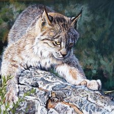 Cross stitch pattern: #2569421