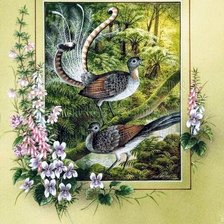 Cross stitch pattern: #2570295