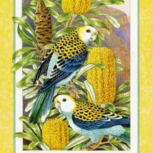 Cross stitch pattern: #2570298