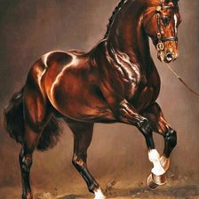 Cross stitch pattern: #2572345