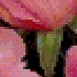 Preview of cross stitch pattern: #2573400