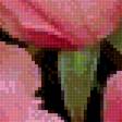 Preview of cross stitch pattern: #2573402