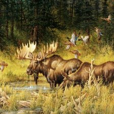 Cross stitch pattern: #2573565