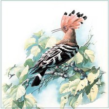 Cross stitch pattern: #2573571