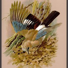 Cross stitch pattern: #2573582