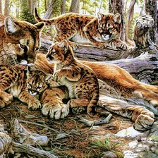 Cross stitch pattern: #2577022