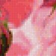 Preview of cross stitch pattern: #2579900