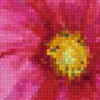 Preview of cross stitch pattern: #2580279