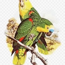 Cross stitch pattern: #2582536