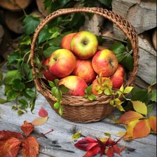 Cross stitch pattern: #2583598