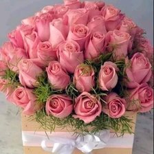 Cross stitch pattern: #2583700