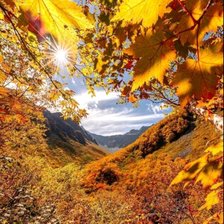 Cross stitch pattern: #2584053