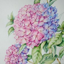 Cross stitch pattern: #2584953