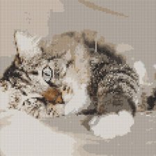 Cross stitch pattern: #2585470