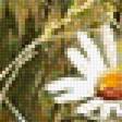 Preview of cross stitch pattern: #2585557