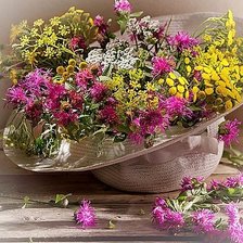 Cross stitch pattern: #2585592