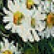 Preview of cross stitch pattern: #2585609