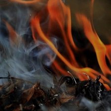 Cross stitch pattern: #2585647